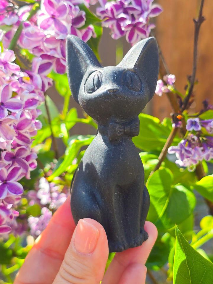 Black Obsidian JiJi Carving