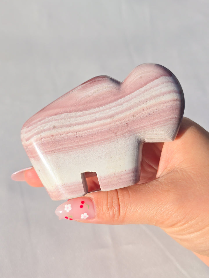 🌈 Rhyolite Bison Medium C