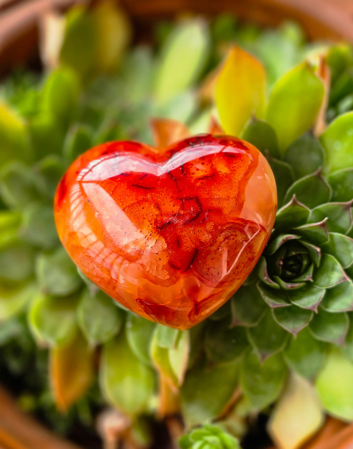 Carnelian Heart (c)