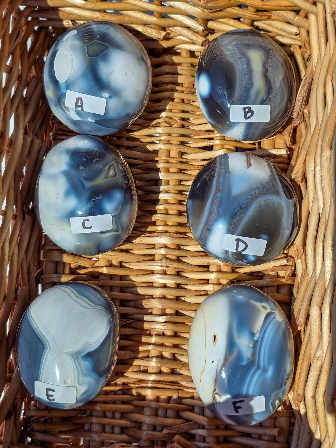 You Pick , Large Orca Agate Palm