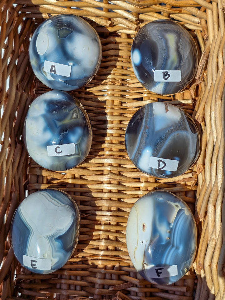You Pick , Large Orca Agate Palm