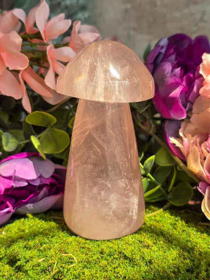 Rose Quartz Mushie C