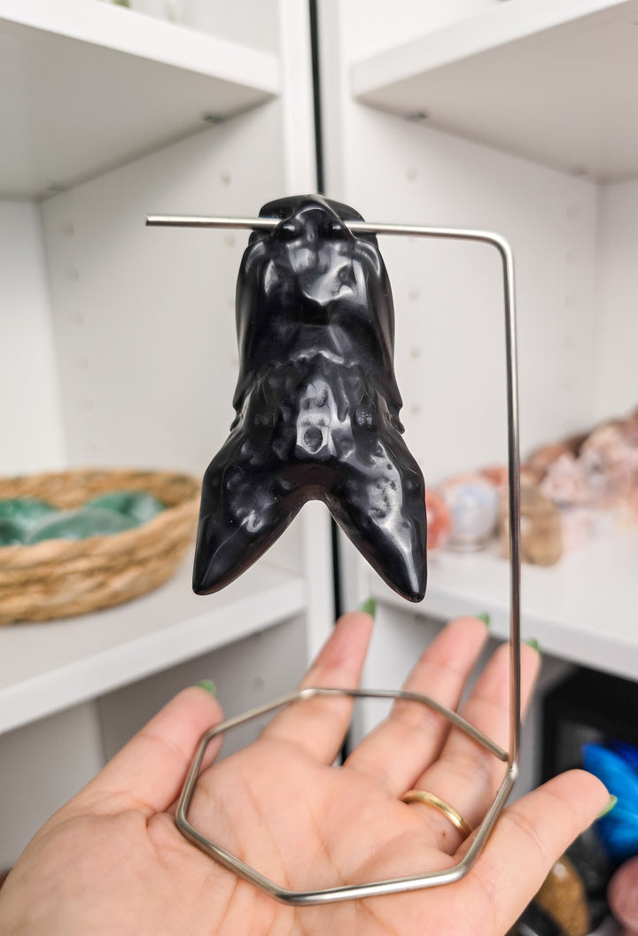 Friendly Hanging Bats