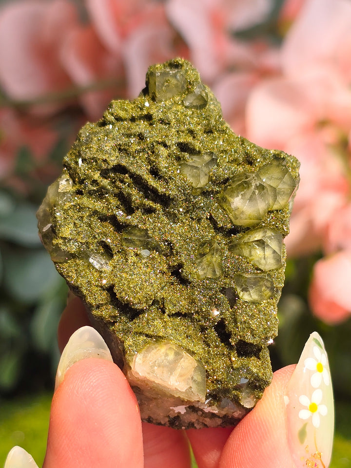 Fairy Forest Epidote with Quartz
