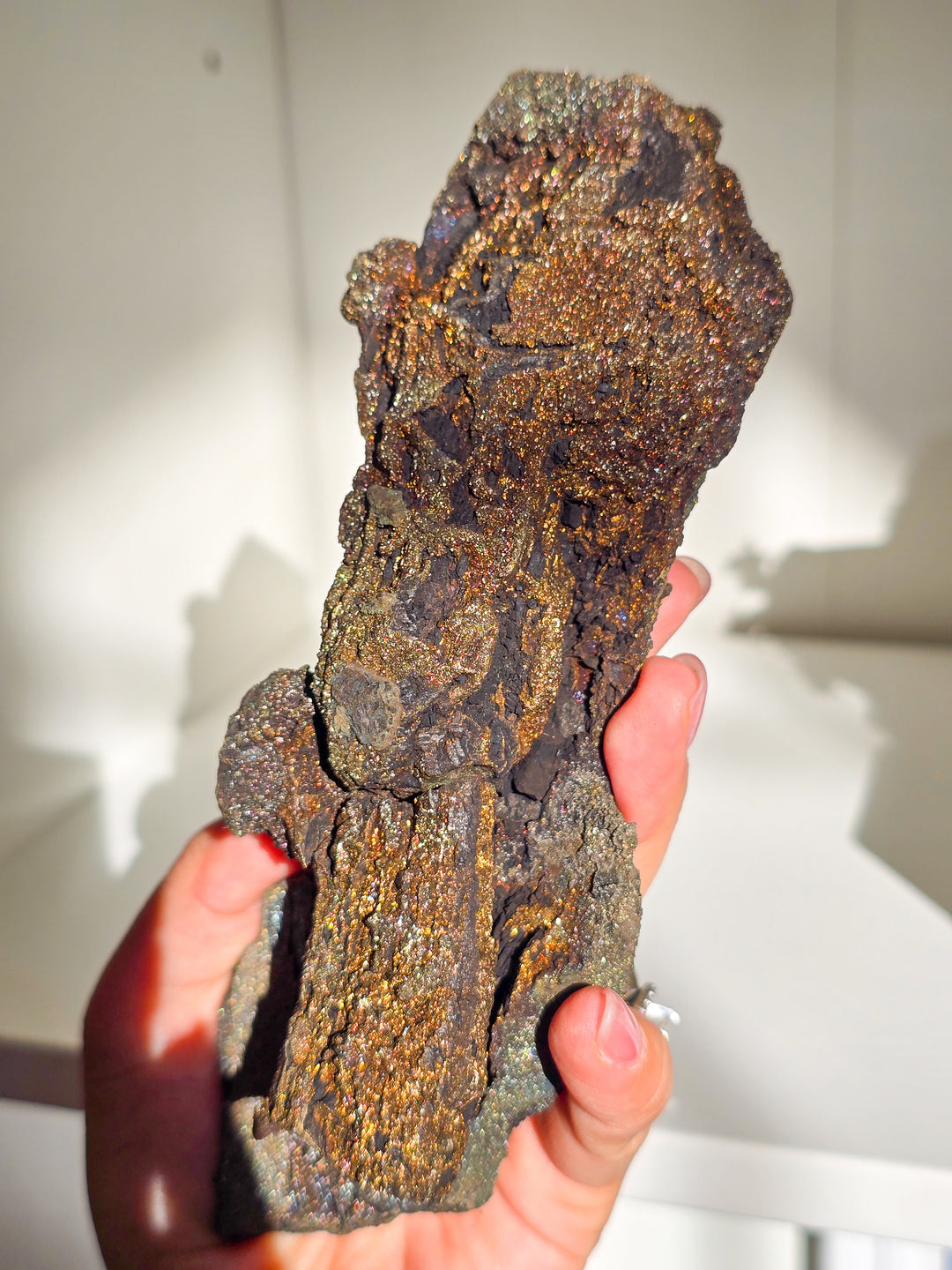 Marcasite on Petrified Wood