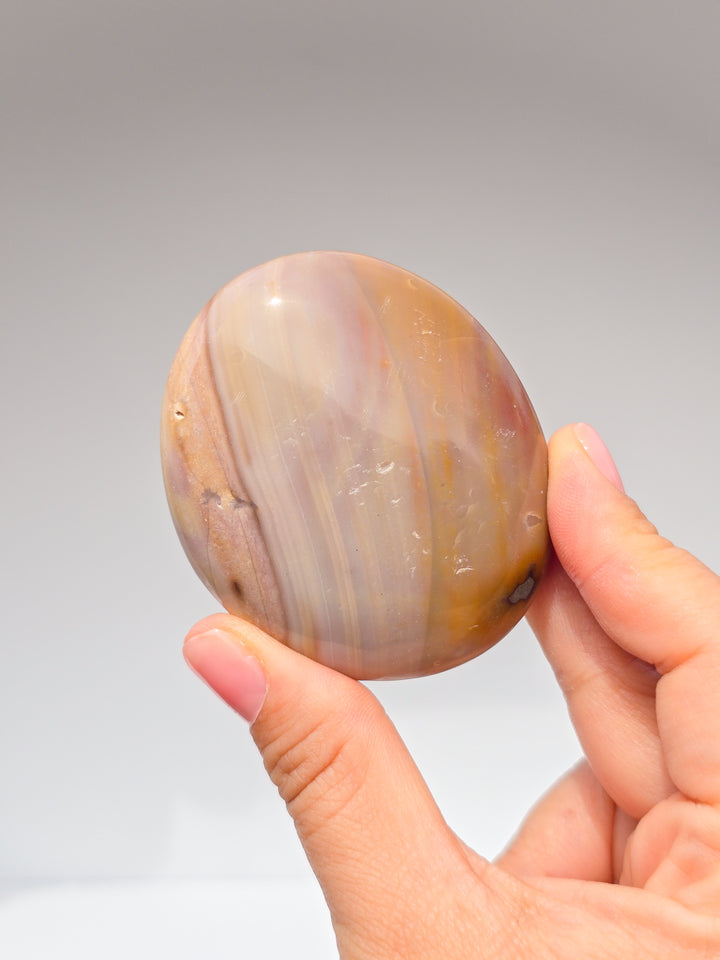 Zebra &amp; Sea Jasper Palmstones