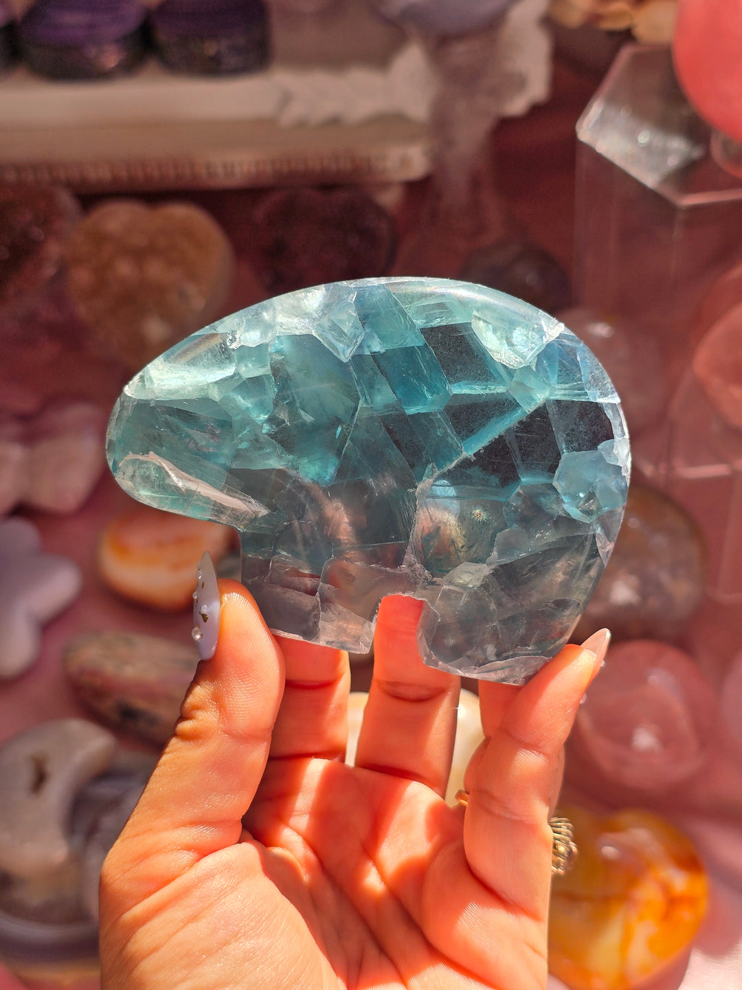 Icy Teal Polar Bear Rainbow Fluorite