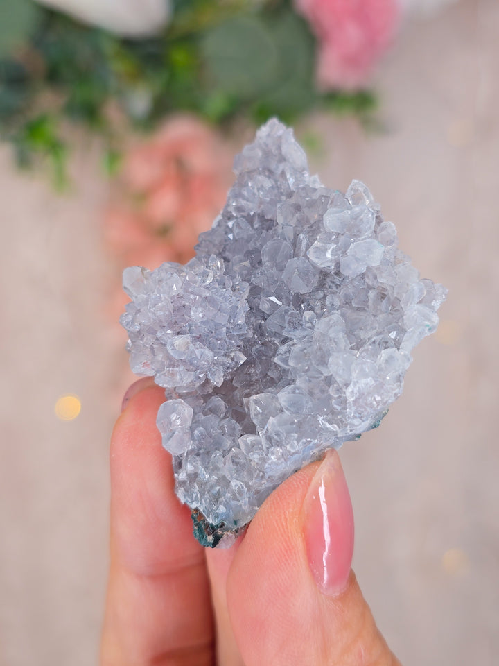 You Pick, Brazillian Flower Amethyst