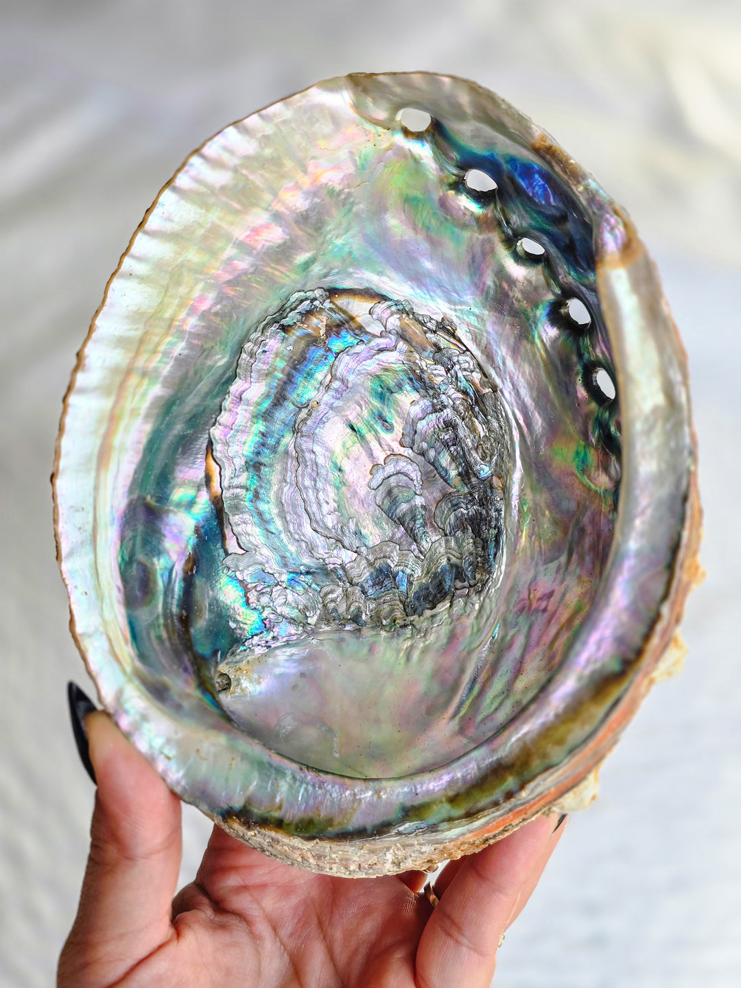 Abalone Bowl