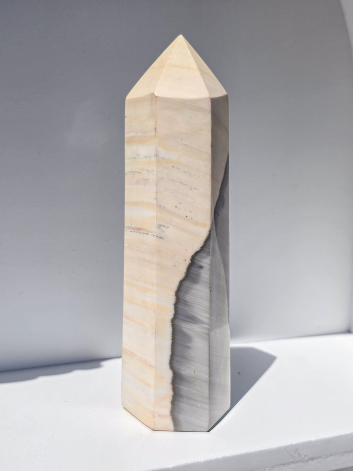 Zebra Jasper Tower d
