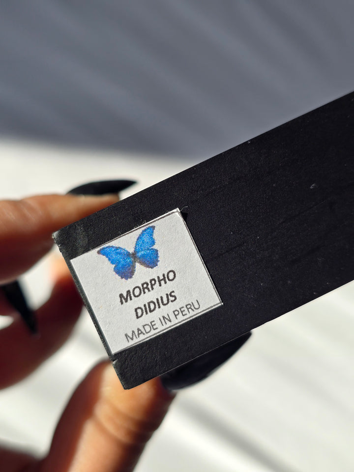 Framed Blue Sapphire Morpho Butterfly