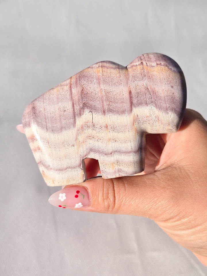 🌈 Rhyolite Bison Medium B