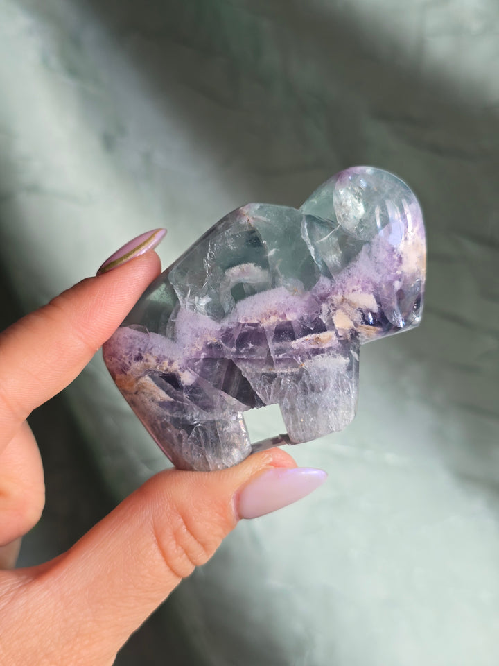 You Pick , Rainbow Fluorite from Durango Mexico